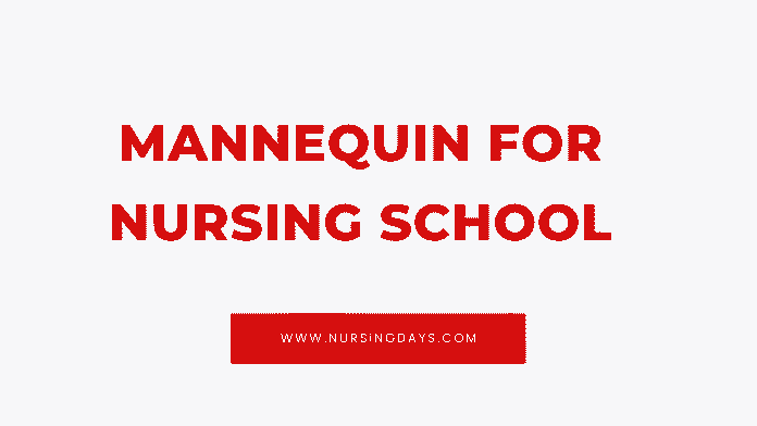 mannequin for nursing school